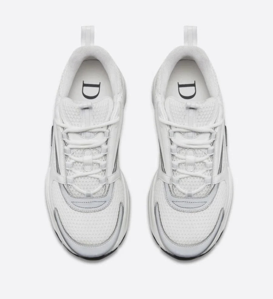 Dior B22