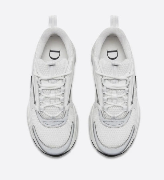 Dior B22
